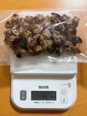 [Miễn phí vận chuyển!] Lõi nhím biển bafun đông lạnh 100g, khoảng 50 miếng x 3