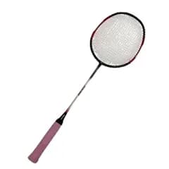 Vợt cầu lông MIZUNO Mizuno FX01