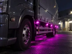デコトラ屋  chính hãng 高輝度LED球 24V BA15S G18 S25 LED サイドマーカー バスマーカー ナマズマーカー シャーシマーカー 球 30個SET Hồng デコトラ レトロ トラック 三菱ふそう 日野 いすゞ UD タイプA
