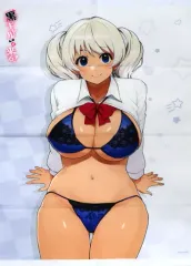 【中古】タペストリー [単品] 愛月 描き下ろしB2タペストリー 「コミックス đenギャルさんが来る! 3 B2タペストリー付きメロンブックスgiới hạn版」 同梱特典