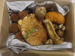 信州産　きのこ詰合せ9月16日朝採り
