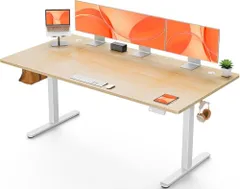 ErGear 電動 オフィスワークテーブル 昇降式デスク スタンディングデスク 幅160cm 耐荷重80kg 4段階高さメモリー機能 上下自動昇降ｍａ