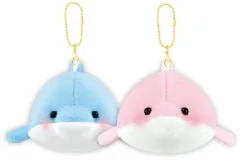 【中古】ぬいぐるみマスコット・ぬいぐるみバッジ イルカ ニコぬいキーホルダー