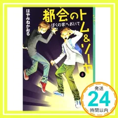 都会のトム&ソーヤ(6)≪ぼくの家へおいで≫ (YA! ENTERTAINMENT) [Sep 30, 2008] はやみね かおる; にし けいこ_02