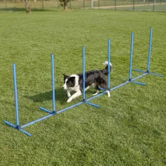 【大phổ biến】Bonarca ドッグアジリティスラローム 犬 ドッグアジリティ スラローム 運動 室内 ハードル bộ アジリティ用具 ドッグ 障害物 ジャンプ