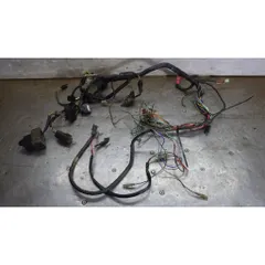 RGA-210A エストレヤ メインハーネス BJ250A-02619