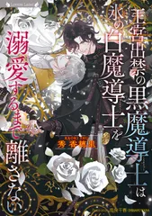 王宮出禁のđen魔導士は氷のtrắng魔導士を溺愛するまで離さない (ラヴァーズ文庫 LL 236)