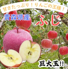 ★期間giới hạn★青森県産 ふじ りんご 巨大玉 贈答用（金特選） 6~8玉 ⑬
