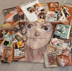 Bán tóm tắt hàng hóa Haikyuu Hinata