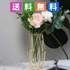 Đế hoa, bình hoa, bình đơn, thủy canh, hoa, đơn giản, phong cách Scandinavia, kim loại, thực vật, đồ trang trí