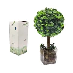 Cây Nhân Tạo Aicvhin, Quang Xúc Tác, Cao Cấp, Hoa Nhân Tạo, Cây, 1 Cây, Dễ Chăm Sóc, Không Tưới Nước, Xanh Giả, Chậu Thủy Tinh (Cây May Mắn)